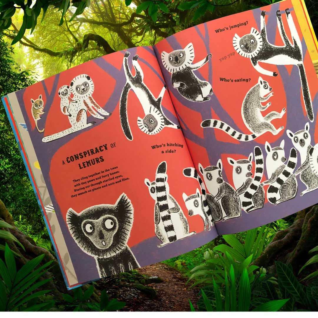 This is one of those 'stealthily educational' books that parents [and kids!] just love. Who wouldn't be excited to learn that the collective noun for flamingos is 'flamboyance'? #flockofflamingos #knowyournouns #wordsmith #animals #kidlit #picturebook #readingisfundamental