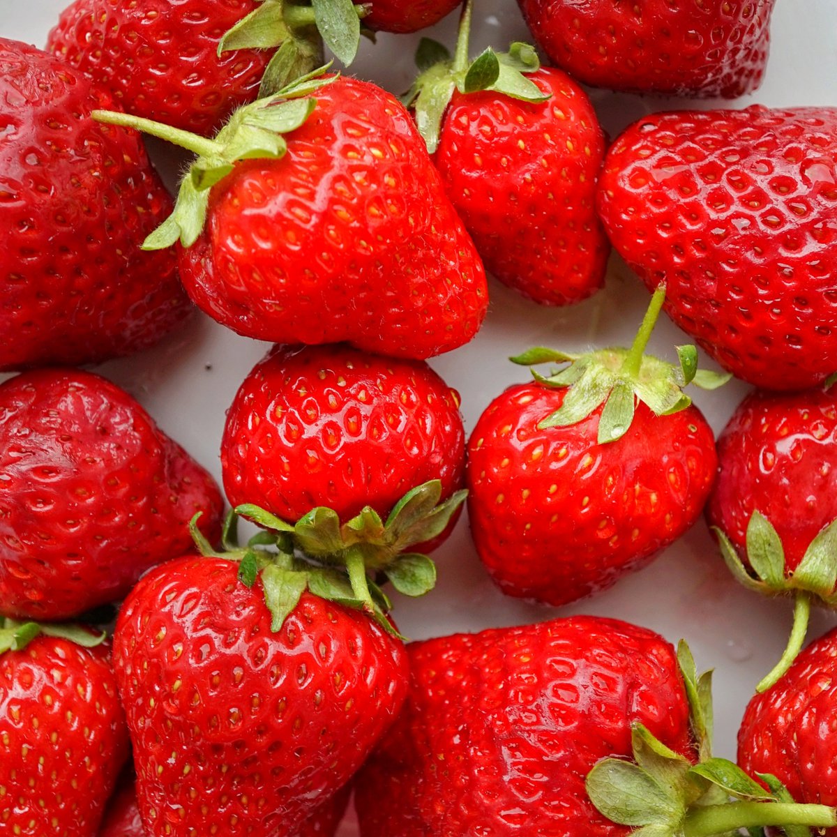 eatingcheating's tweet photo. Do you like strawberries? 🍓 Those were soooo good!

https://t.co/l9TwMn80Xj

#erdbeeren #erdbeere #erdbeerkuchen #saisonal #schweiz #Strawberries #seasonal #unverpackt https://t.co/cKeVOm6csX