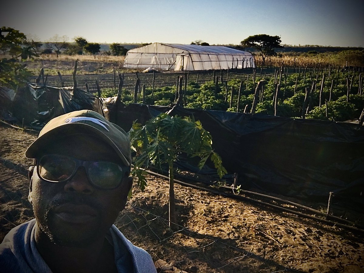 FarmSayi's tweet photo. Greetings from #Mguza #Bulawayo #IsitsheboEbantwini @FarmSayi @Ramadu5 https://t.co/XPaz6wYf39