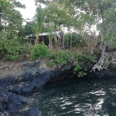 tavgale's tweet photo. #NewProfilePic https://t.co/Zof8ZlayKe