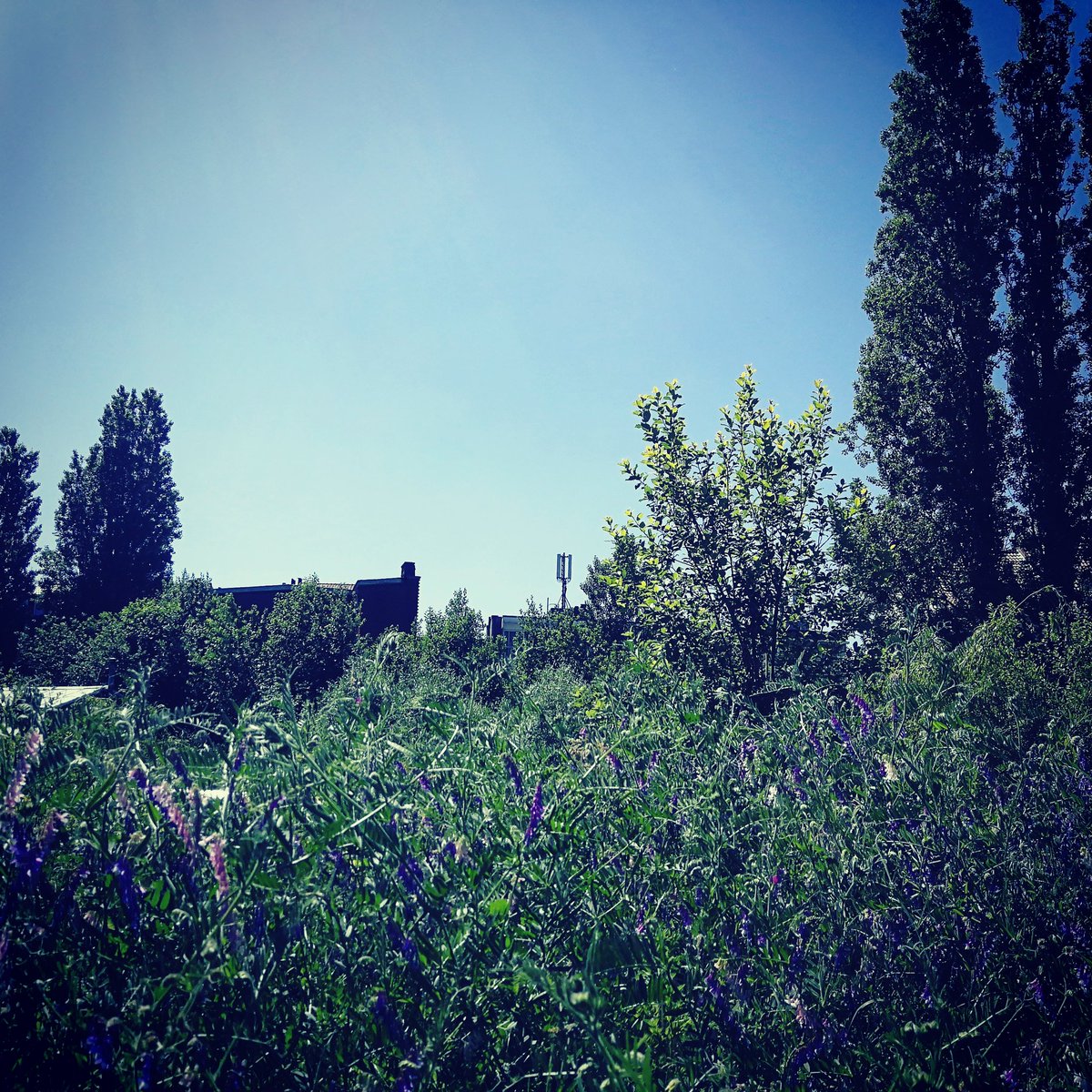 Sauvons la friche Josaphat (@lajosaphat) on Twitter photo 