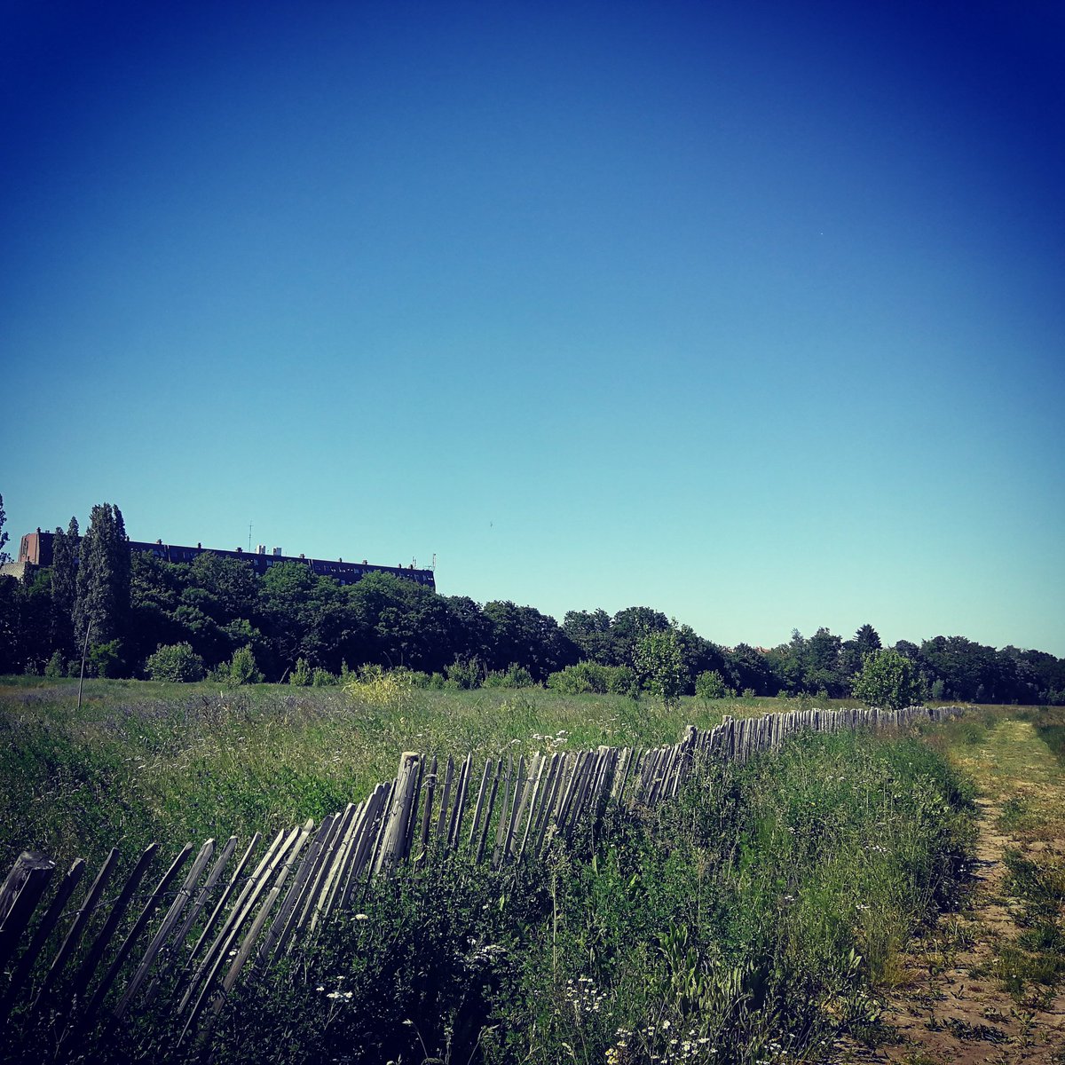 Sauvons la friche Josaphat (@lajosaphat) on Twitter photo 