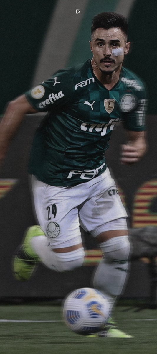 edits_dr's tweet photo. SE Palmeiras | Wallpapers 

📸: Cesar Greco https://t.co/82lMmmLSqI