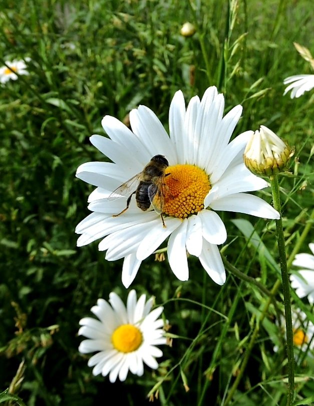 Tinusaerts's tweet photo. #Groenewoud #brabantslandschap #vgnp Het mooie Heerebeeck https://t.co/jbJ5eIkcPp