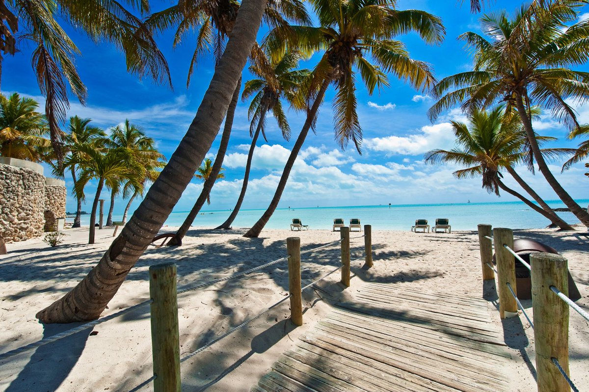ist_'s tweet photo. Wer wäre jetzt auch gerne hier? 🌴 Wir freuen uns schon darauf den Sommer 2021 mit euch in der Sonne zu verbringen!☀️☀️

#istaroundtheworld #istsprachreisen #sommer2021 #vacationplanner #travelinspo #travelusa #usa #florida #keywest #travelersofinstagram #usalove https://t.co/V7DqSK4MZ1