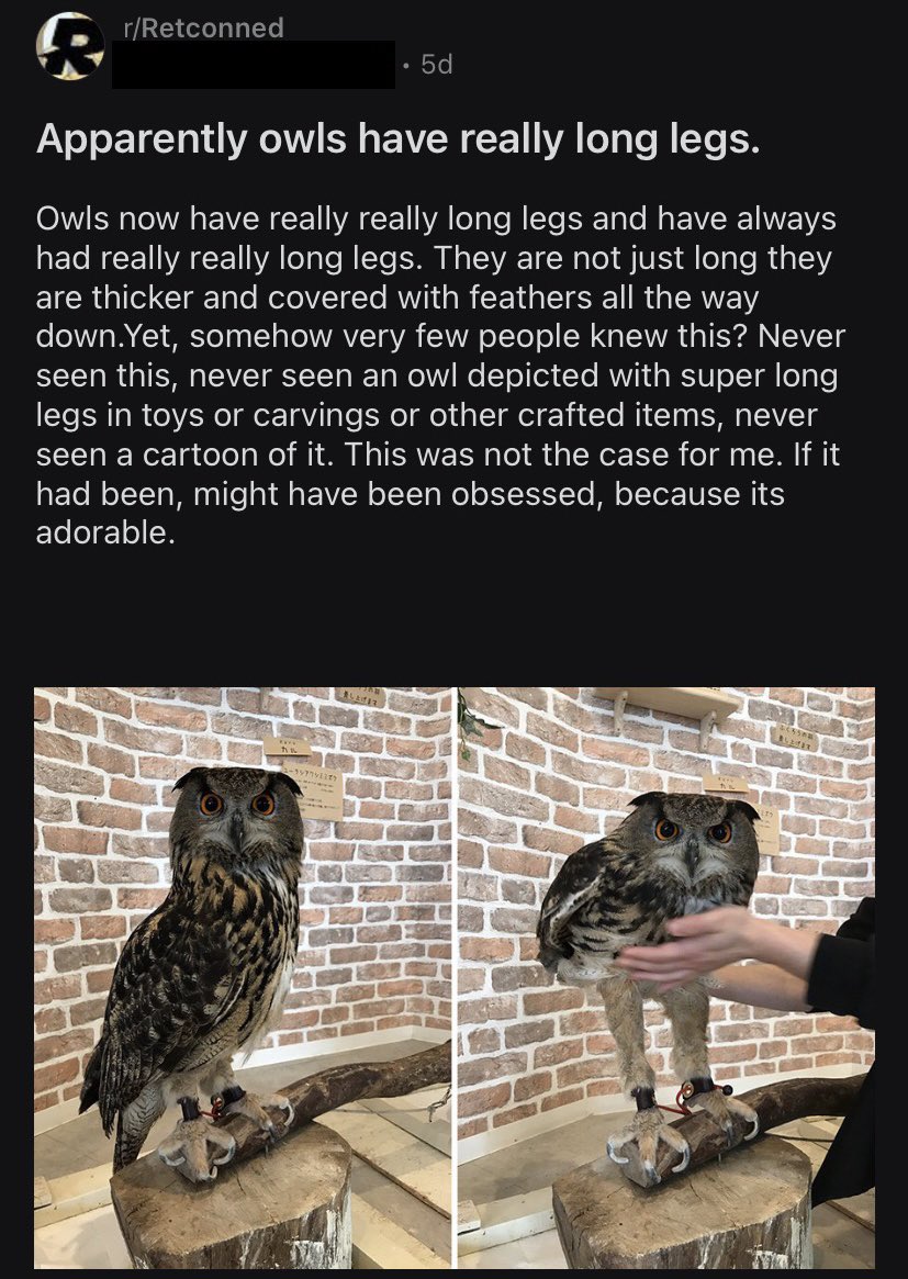When I realize that owls have long legs, @Rellik999