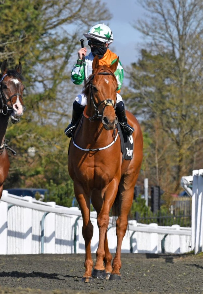 Ado McGuinness Racing tweet media