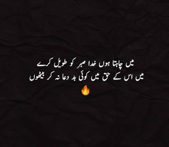 mytutor16's tweet image. 