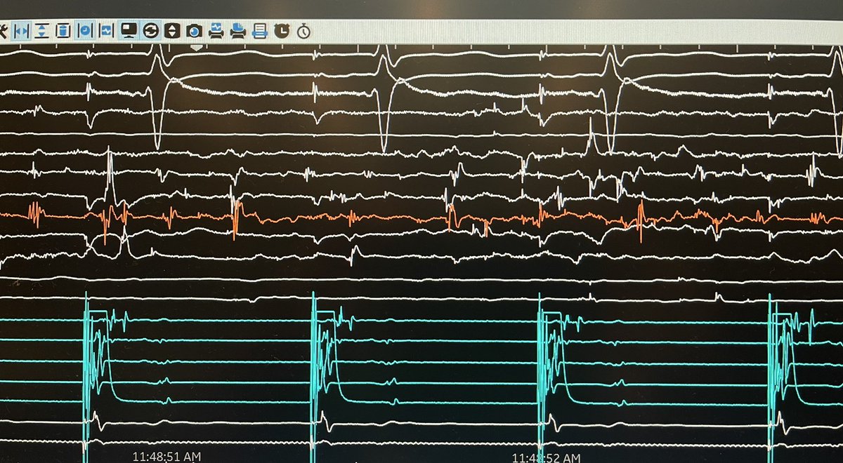 Darius Sholevar tweet media