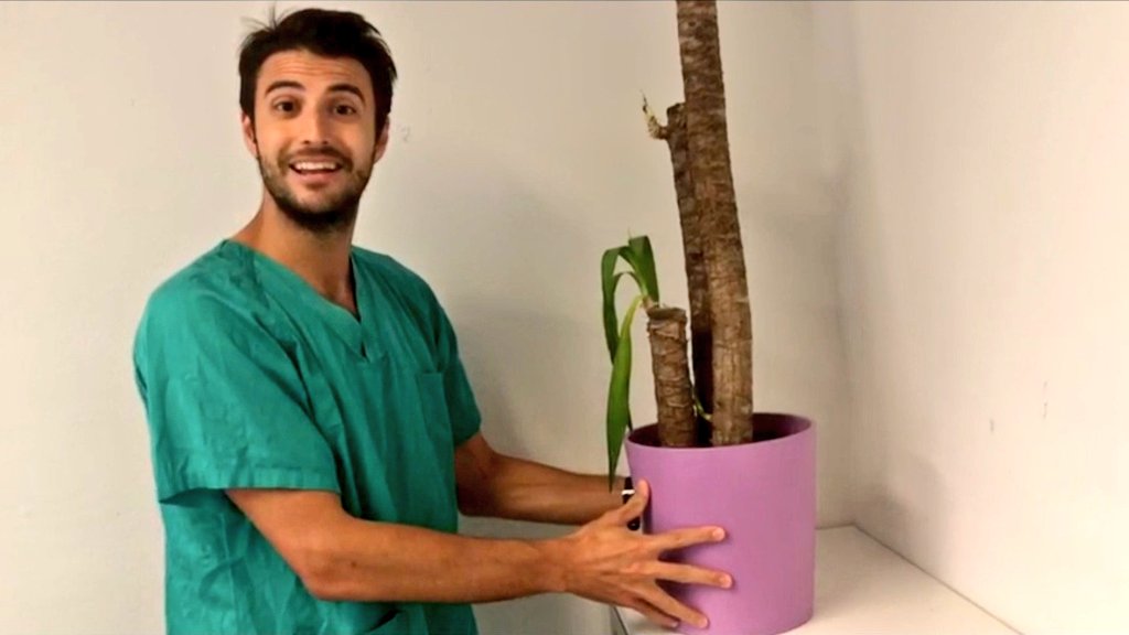 sa6ater's tweet photo. Pensaba que el COVID nos había dejado a @AnaSanMar91 y a mí sin vídeo de despedida el año pasado... Menuda sorpresa ver a tan buenos amigos de otros hospitales diciéndonos cosas bonitas, os queremos🥰 y muchas gracias a @jamorilla,  @Srtamessa y a los miniRs por hacerlo posible https://t.co/caHdfXQ5dO
