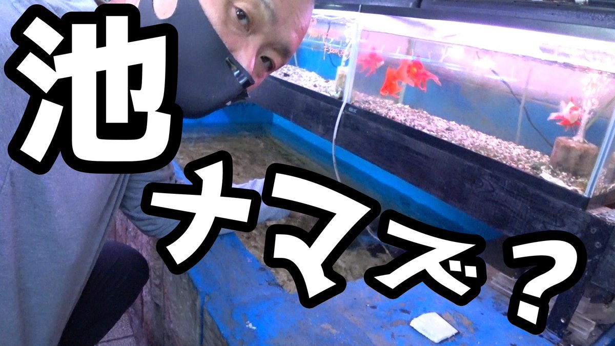 熱帯魚屋 Twitter Search