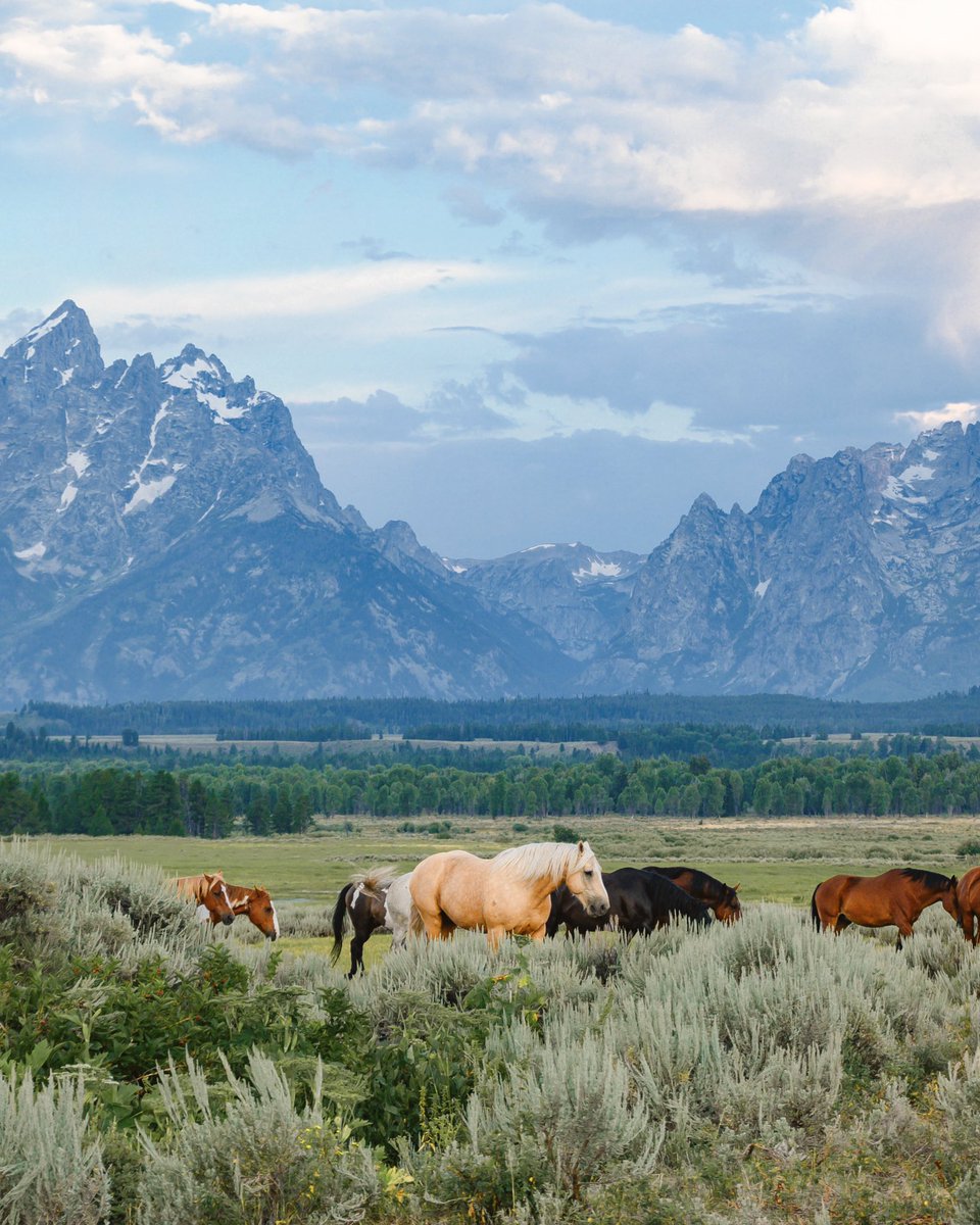 faith_gracie's tweet photo. bringing back my favorite moment from the tetons, this place is a dream https://t.co/rejaT1a36A