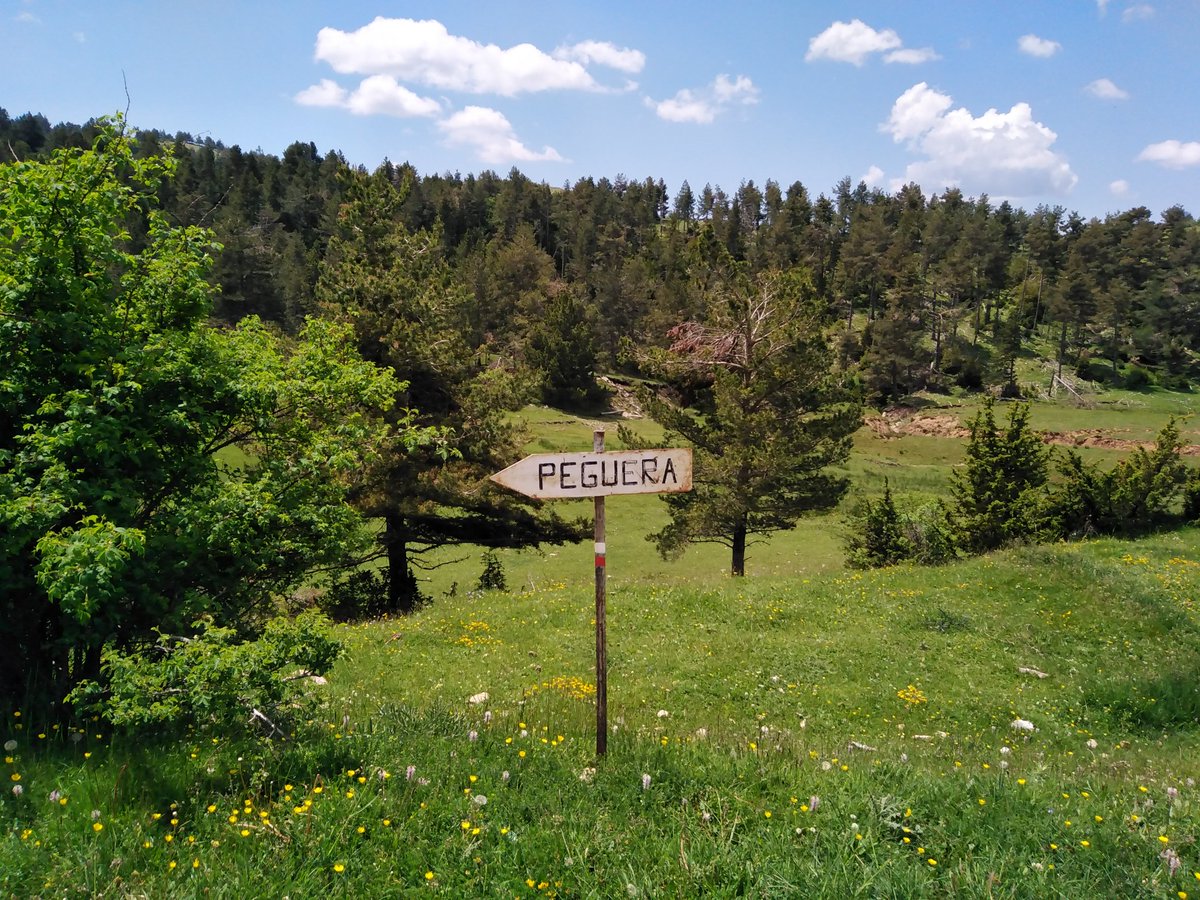 Terreny <a href="/bergatrail/">Berga Trail</a> estudinat per la setmana que bé.