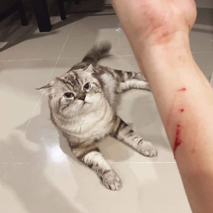 You hurt me but I still love you
