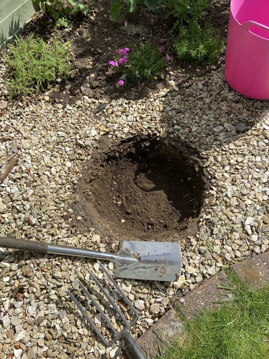 WrightWiggins's tweet photo. @nickbailey365 
many thanks for your inspirational advice on Gardeners’ world in creating a pond. I tried sending a video of me doing this yesterday in the heat but had to do it in two parts and the website would only accept one part!! 👏👏🥰 https://t.co/fsqZuzqlzF