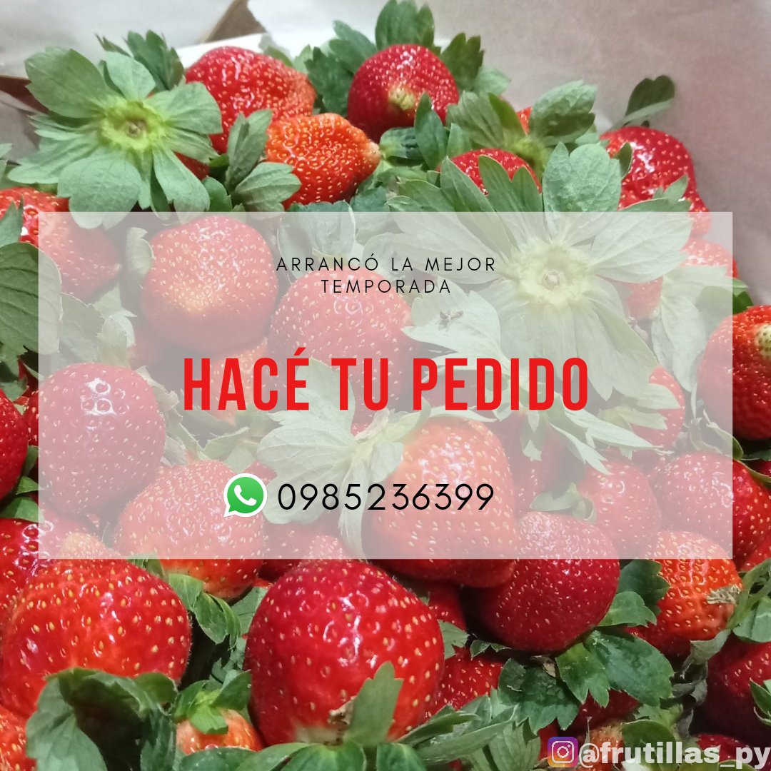 Me ayudan con un rt porfa. El Martes hago entregas. También podés hacer tu pedido para el día del padre. 0985236399. Delivery sin costo 🛵