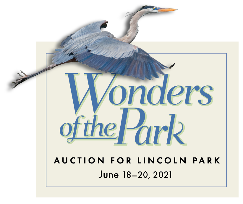 If your kids love the Park, we know they'll love our Auction for Lincoln Park children's packages with experiences, clothing and decor from local businesses including: <a href="/guslegacy/">Gus Giordano Legacy</a>, Big City Readers, <a href="/ChiChildTheatre/">Chicago Children’s Theatre</a>, <a href="/NurtureLife/">Nurture Life</a>, and more. Browse here: lpcgala2021.givesmart.com