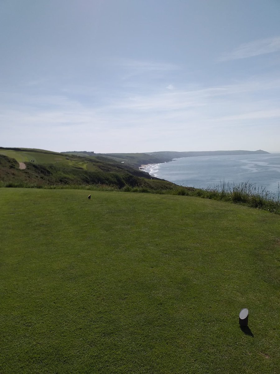 Steve Maguire tweet media