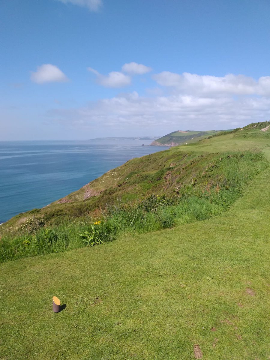 Steve Maguire tweet media