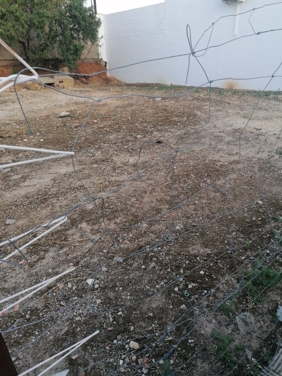 musaly00's tweet photo. @DeSanlucarMayor @solucar_radio
Este es el estado de la alambrada que hay separando la acera por la que pasan nuestros niños y un descampado. Los alambres por fuera y en mal estado para que alguien se lo clave. Calle flor de tomillo. https://t.co/IOr4DBrEvf