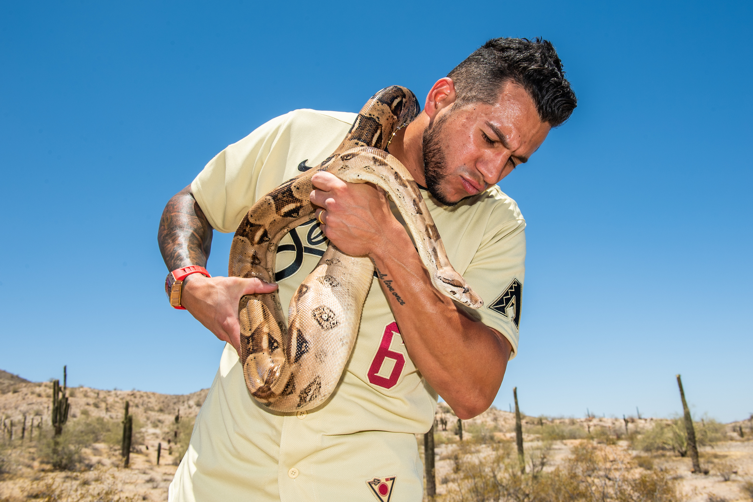 The Athletic on X: Las #Serpientes 🐍 The Arizona Diamondbacks