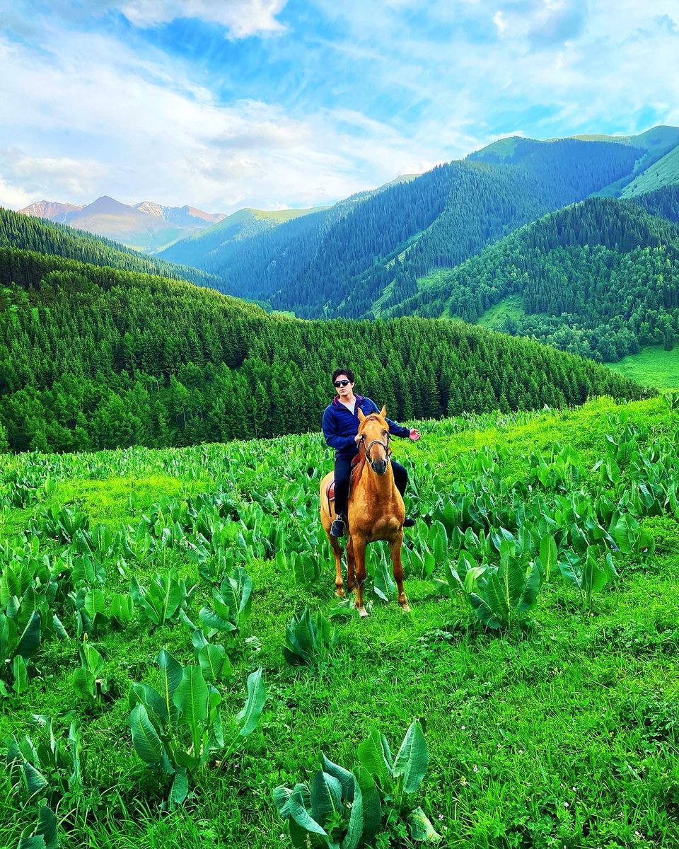 DimashPanama's tweet photo. [Instagram] actualización de #Dimash 
.  .  .
Te gustan los caballos?

#kudaibergen #DimashQudaibergen #kudaibergendimash #dimashpanamá https://t.co/Fo7TGQFDQZ
