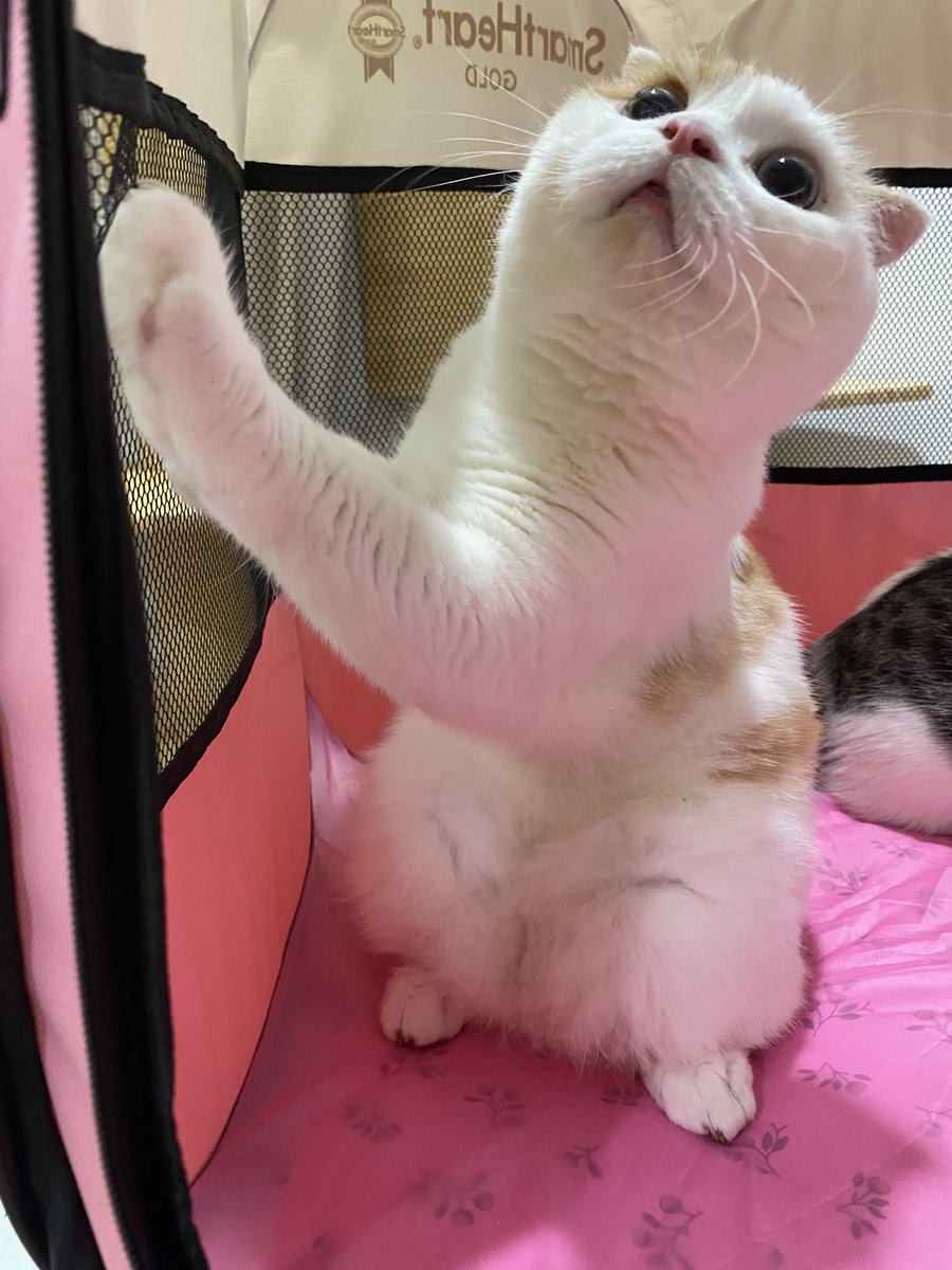 ฟีลโหนรถเมล์ไปทำงาน