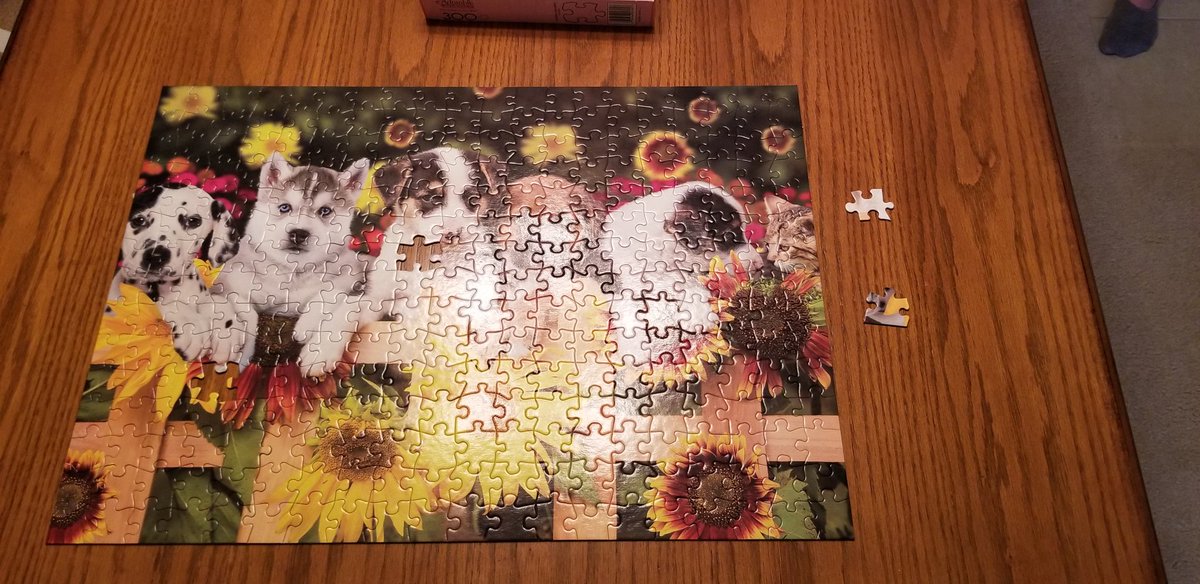 clarissa_Joe13's tweet photo. Hey @Target and @BuffaloGamesInc  the one time I buy a puzzle and there's 2 duplicate/missing pieces? #dreamsshattered 😂 https://t.co/VQOJIZspC6