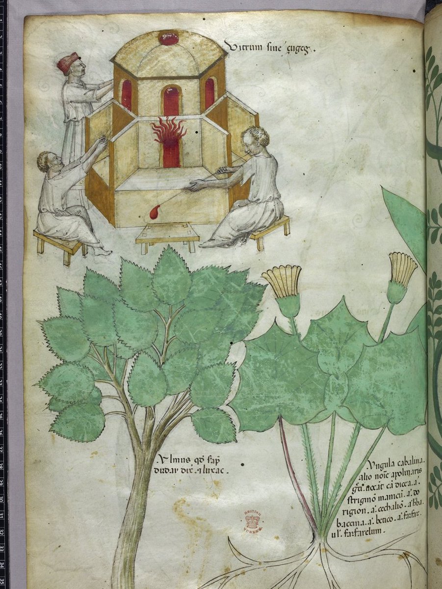 BLMedieval's tweet photo. Medieval glass-making, as illustrated in a 15th-century Italian herbal.

Sloane MS 4016, f. 101v
https://t.co/Als2IlUoU1 https://t.co/AKTD8mmdiK