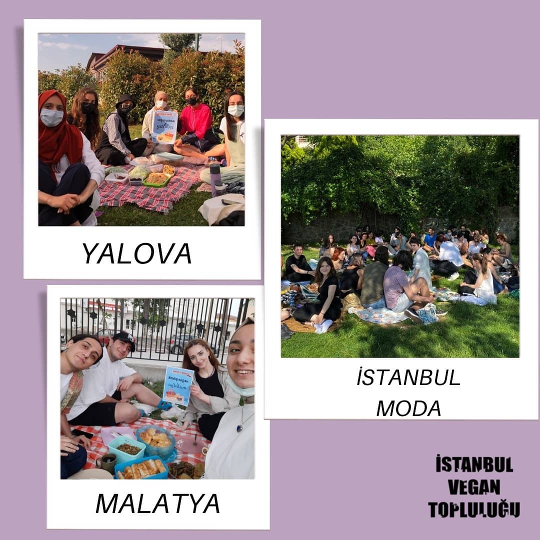 istvegtoplulugu's tweet photo. 12 Haziran Cumartesi günü Türkiye geneli vegan piknikler gerçekleştirdik.🎊 Pikniklere giderken yaşadığımız heyecan, piknikler esnasında coşkuya, umuda ve inanca dönüştü.🙌Vegan bir dünya için emek veren ve pikniğe katılan herkese çok teşekkür ederiz. İyi ki varsınız. 🤗🌱🎊🌸🍒 https://t.co/5pk9oTcqef