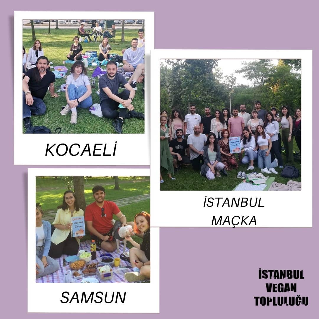 istvegtoplulugu's tweet photo. 12 Haziran Cumartesi günü Türkiye geneli vegan piknikler gerçekleştirdik.🎊 Pikniklere giderken yaşadığımız heyecan, piknikler esnasında coşkuya, umuda ve inanca dönüştü.🙌Vegan bir dünya için emek veren ve pikniğe katılan herkese çok teşekkür ederiz. İyi ki varsınız. 🤗🌱🎊🌸🍒 https://t.co/5pk9oTcqef