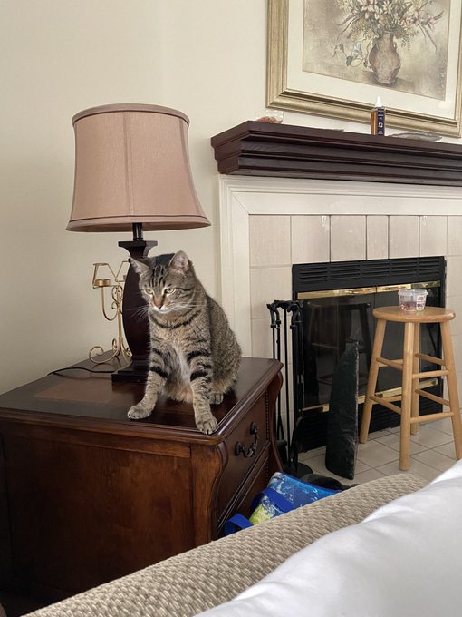 Ellie&rsquo;s like mom stop tweeting about how thirsty you are and love me https://t.co/Ur8G1T074M<a href="/tag/throne"class="tags"><span>#throne</span></a><a href="/tag/wishlist"class="tags"><span>#wishlist</span></a>