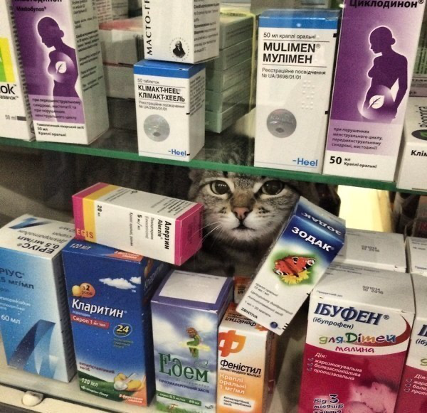 _ellie_ahna_'s tweet photo. Local Healer https://t.co/y4E67XfUNH