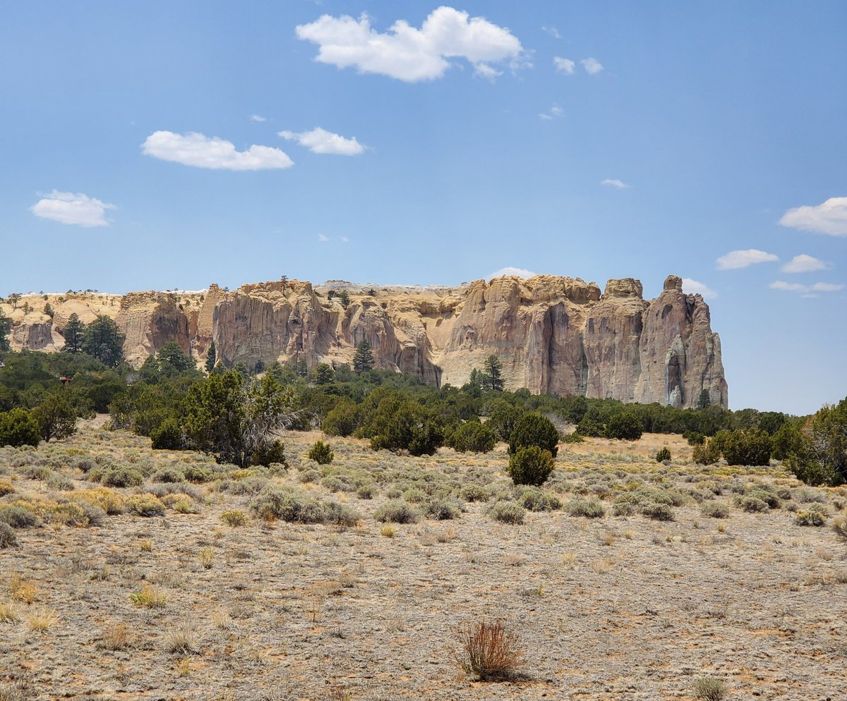 Today was a great day for a road trip to El Morro National Monument. Rich in history and natural beauty. It was too hot for the 2 mile trail hike though, so we'll have to go back!
#NewMexicoTRUE #nmtravel #newmexicolife #southwestliving #southwestusa