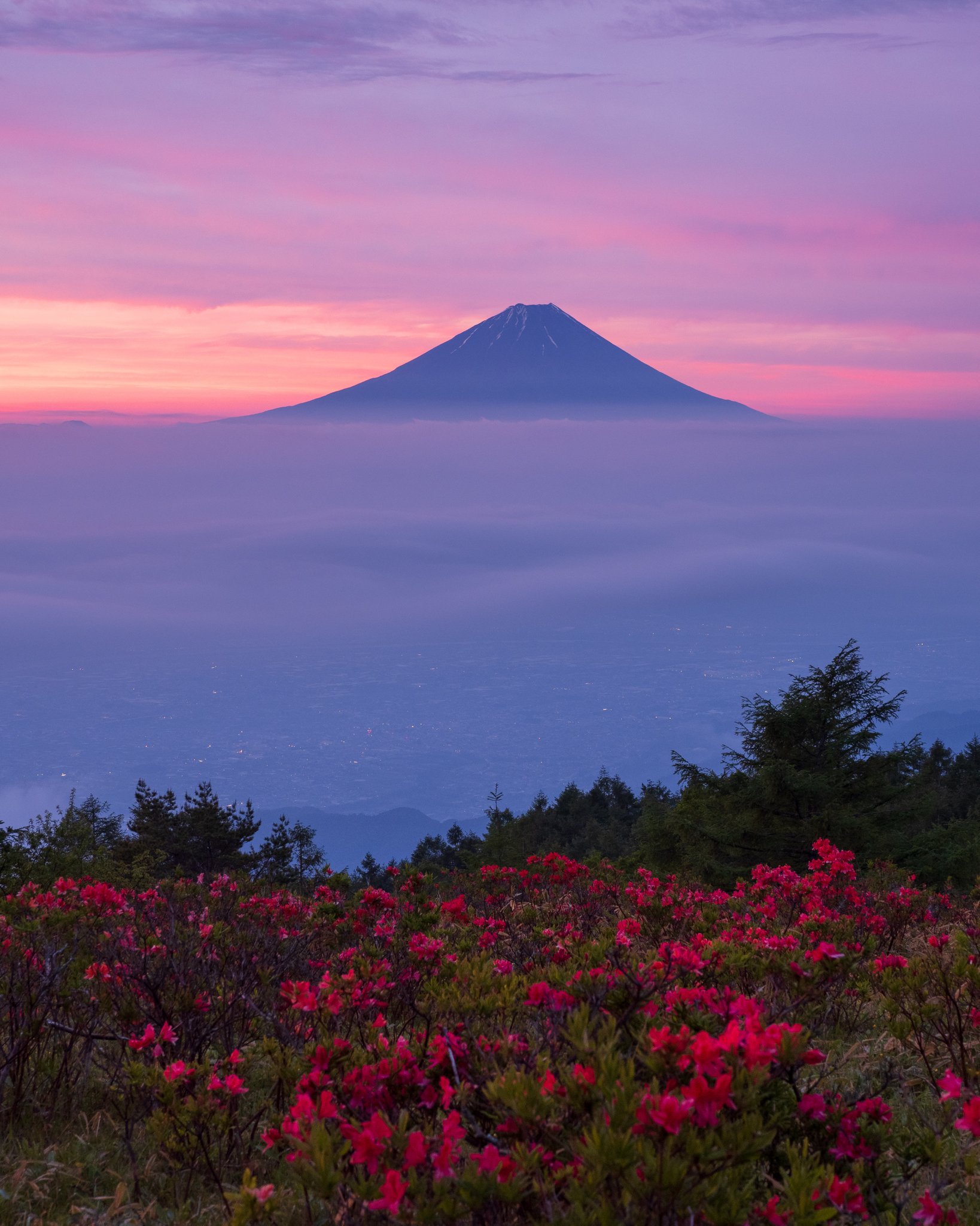 Kazuyuki Matsui 先日の甘利山より 朝焼けとツツジが綺麗でした 6 12 韮崎市甘利山にて撮影 富士山 甘利山 ツツジ レンゲツツジ 朝焼け T Co Bmzhb7og8c Twitter