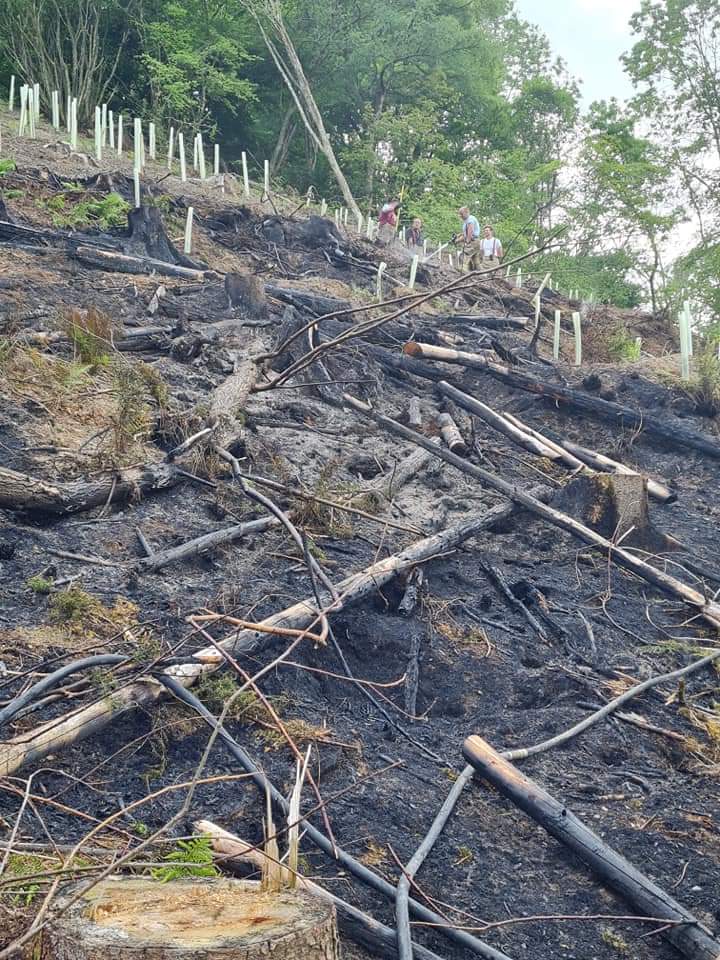 Gorsaf Dân ac Achub Llanandras/ Presteigne Fire an (@presteignefire) on Twitter photo 13/06/21 14:44
17P1 mobilised to fire in the open, cascob area. After arrival it was decided extra resources would be required, 17P1 assisted by 17L1, @HWFireKington Water carrier from <a href="/LlandodFire/">Llandod Fire (Stn 13)</a> and an TAC Officer <a href="/craig_thomas111/">Craig Thomas</a>
📟🔥🚒 13/06/21 14:44
17P1 mobilised to fire in the open, cascob area. After arrival it was decided extra resources would be required, 17P1 assisted by 17L1, @HWFireKington Water carrier from <a href="/LlandodFire/">Llandod Fire (Stn 13)</a> and an TAC Officer <a href="/craig_thomas111/">Craig Thomas</a>
📟🔥🚒