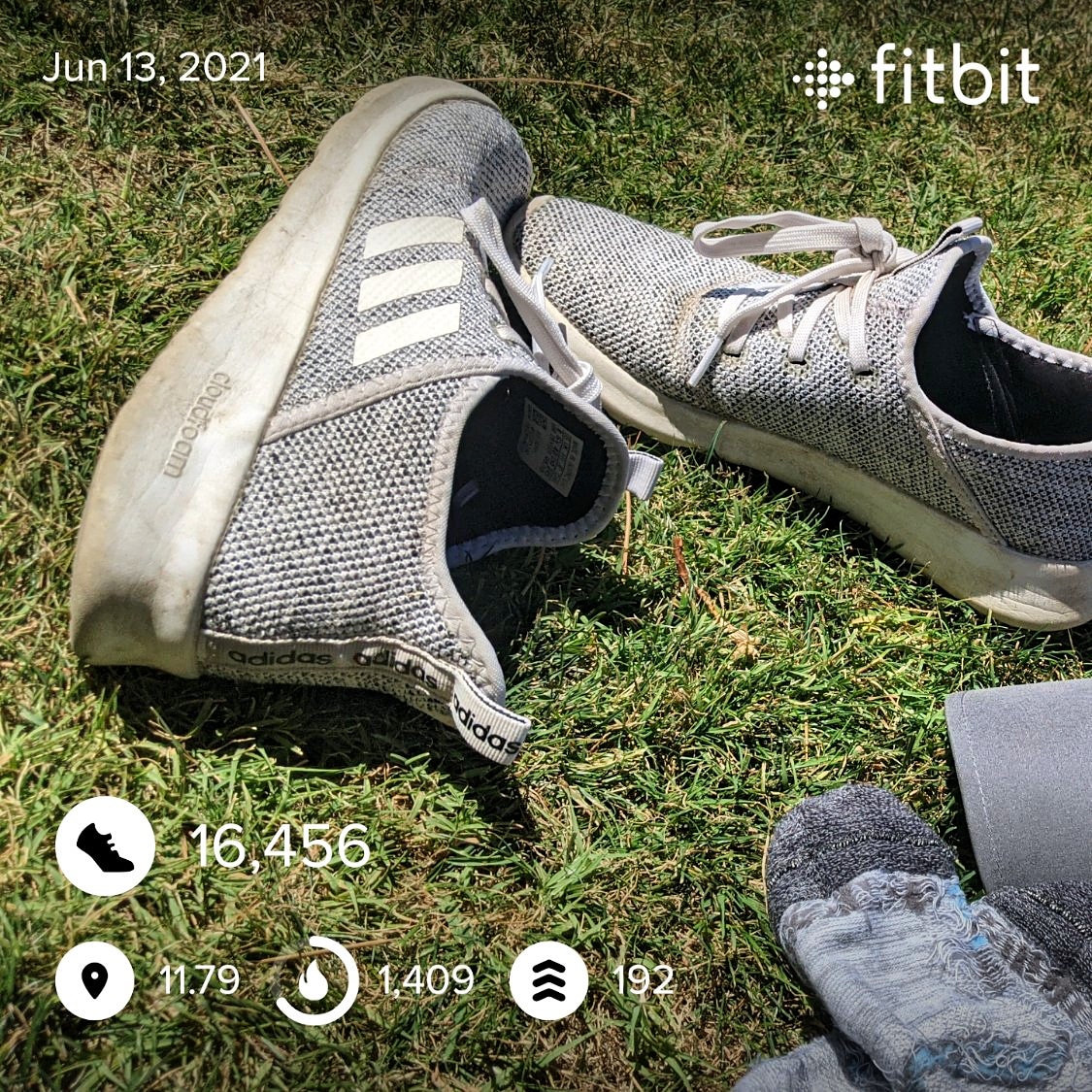 Soe Gschwind tweet media