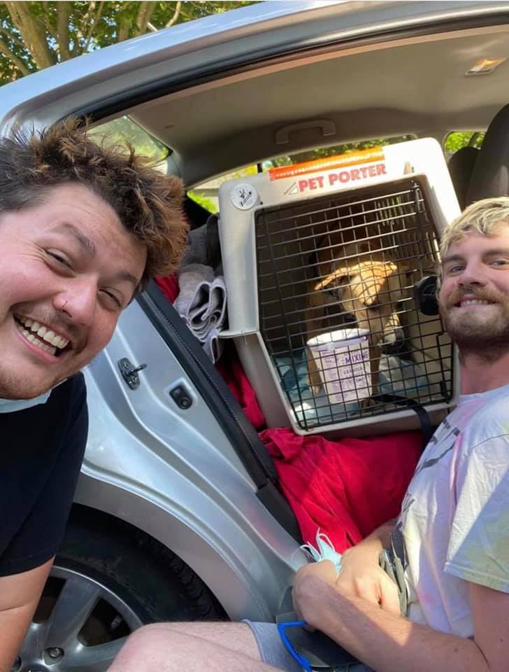 We're looking for dog lovers to join our team! 🐶

CCR is 100% volunteer-run, and we're looking for a few more to help us with reference checks and virtual home visits.

Please email Kristine at volunteer@covetedcanines.org if you're interested. 😊

#volunteer #volunteers #dogs