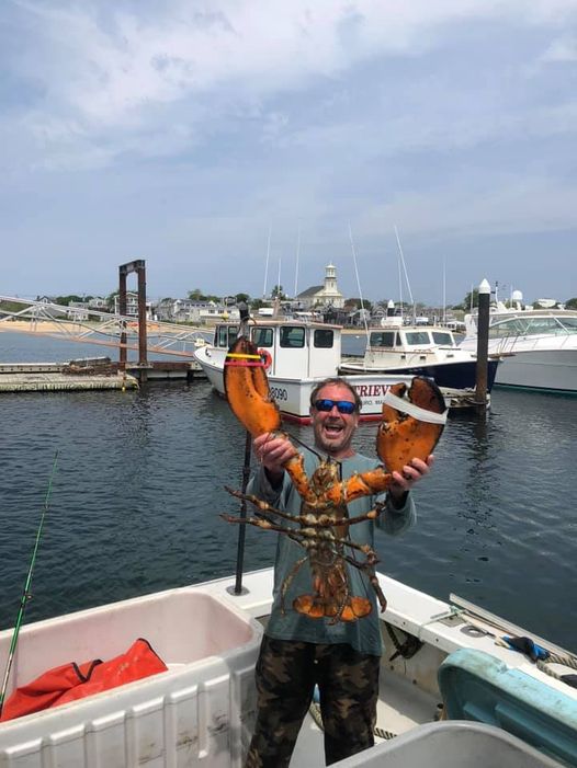 Lobsterman who was swallowed and spit out by a Humpback Whale last week shows off one of the lobsters he caught last June off Cape Cod.