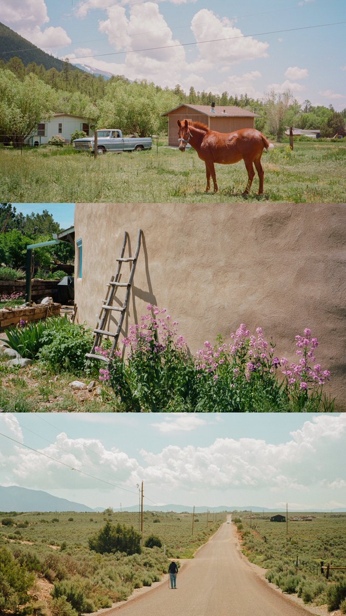 summer in new mexico on a $5 point and shoot