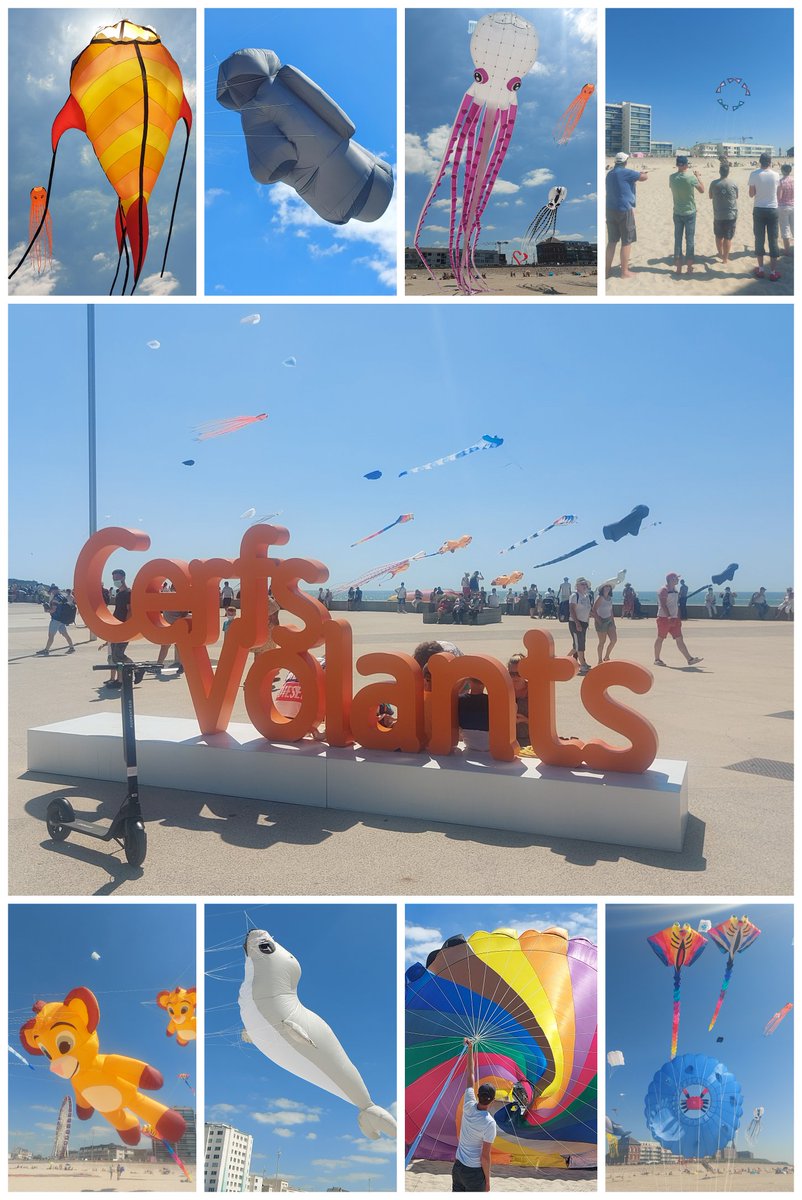 BercKite's tweet image. 