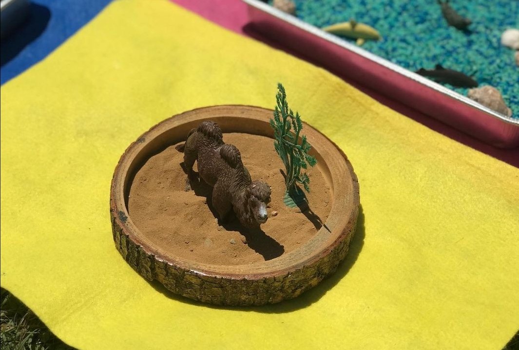 OzelYeni's tweet photo. Montessori kültürel sunum memeli hayvanları tanıyoruz🌞 https://t.co/DgIhHNpFNU