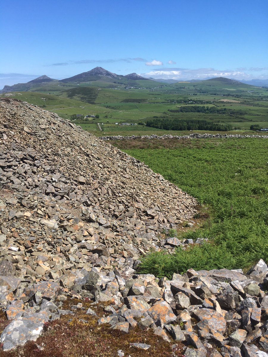 VSSufficiency's tweet photo. Gathered the hill today. Just a small group up there at the moment but the lambs needed a few things doing with them. Can be tricky to see them amongst the bracken but when we counted up they were all present and correct. 
#welshmountainsheep #hillramscheme #performancerecorded https://t.co/pUslojixh9
