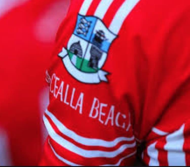 Ryan Cunningham on song as Killybegs beat Glenswilly