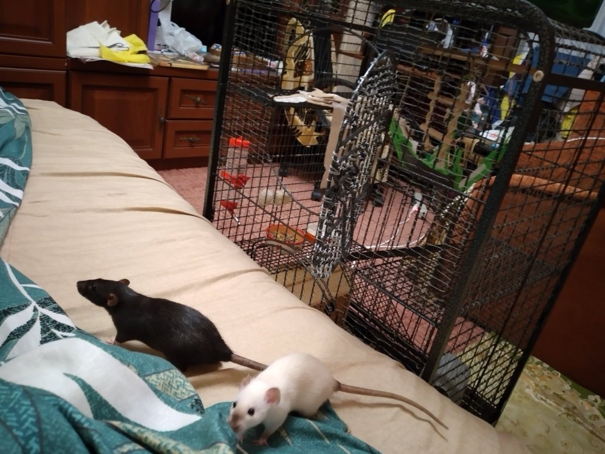 Вышли меня убивать...