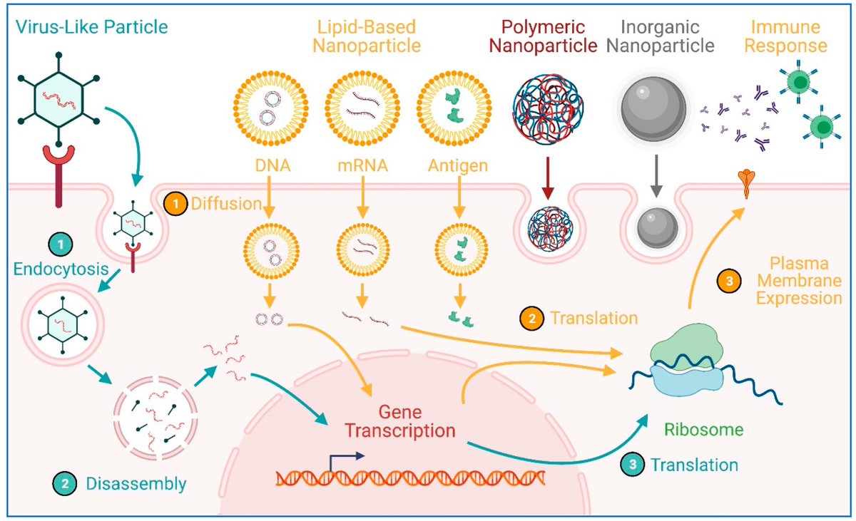 Opvallend10's tweet image. Vandaar dat alles blijft plakken google maar eens op dit woord: [[ magnetofection  ]] #magnetisch #Vaccinatie #magnetofection