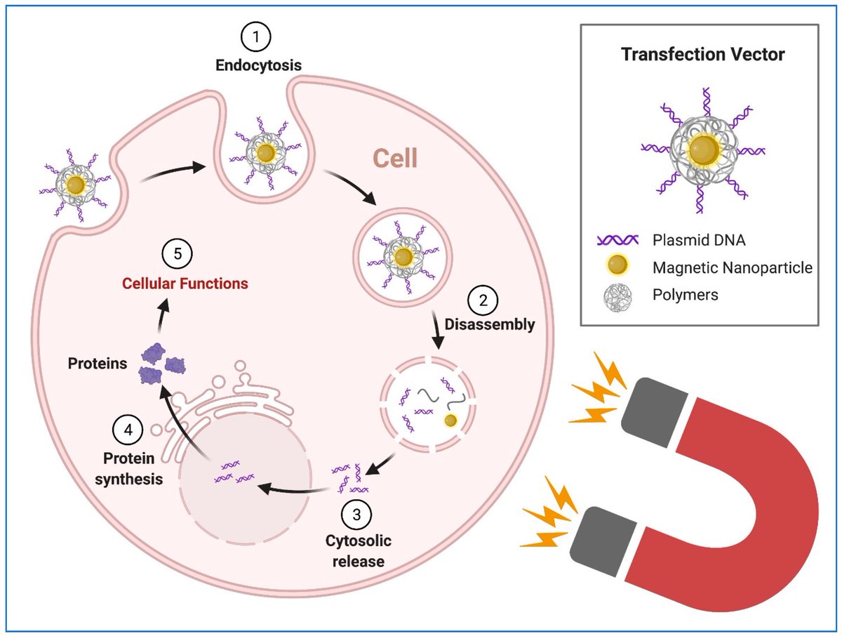 Opvallend10's tweet image. Vandaar dat alles blijft plakken google maar eens op dit woord: [[ magnetofection  ]] #magnetisch #Vaccinatie #magnetofection