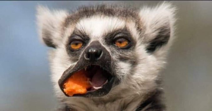 <a href="/gemmaniqua/">🌸🌺</a> How our "elders" react when you serve them the same disrespect that they served you first