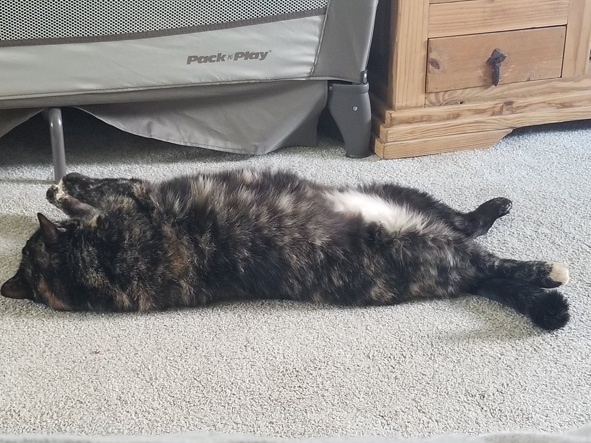 AwkwardGram tweet media