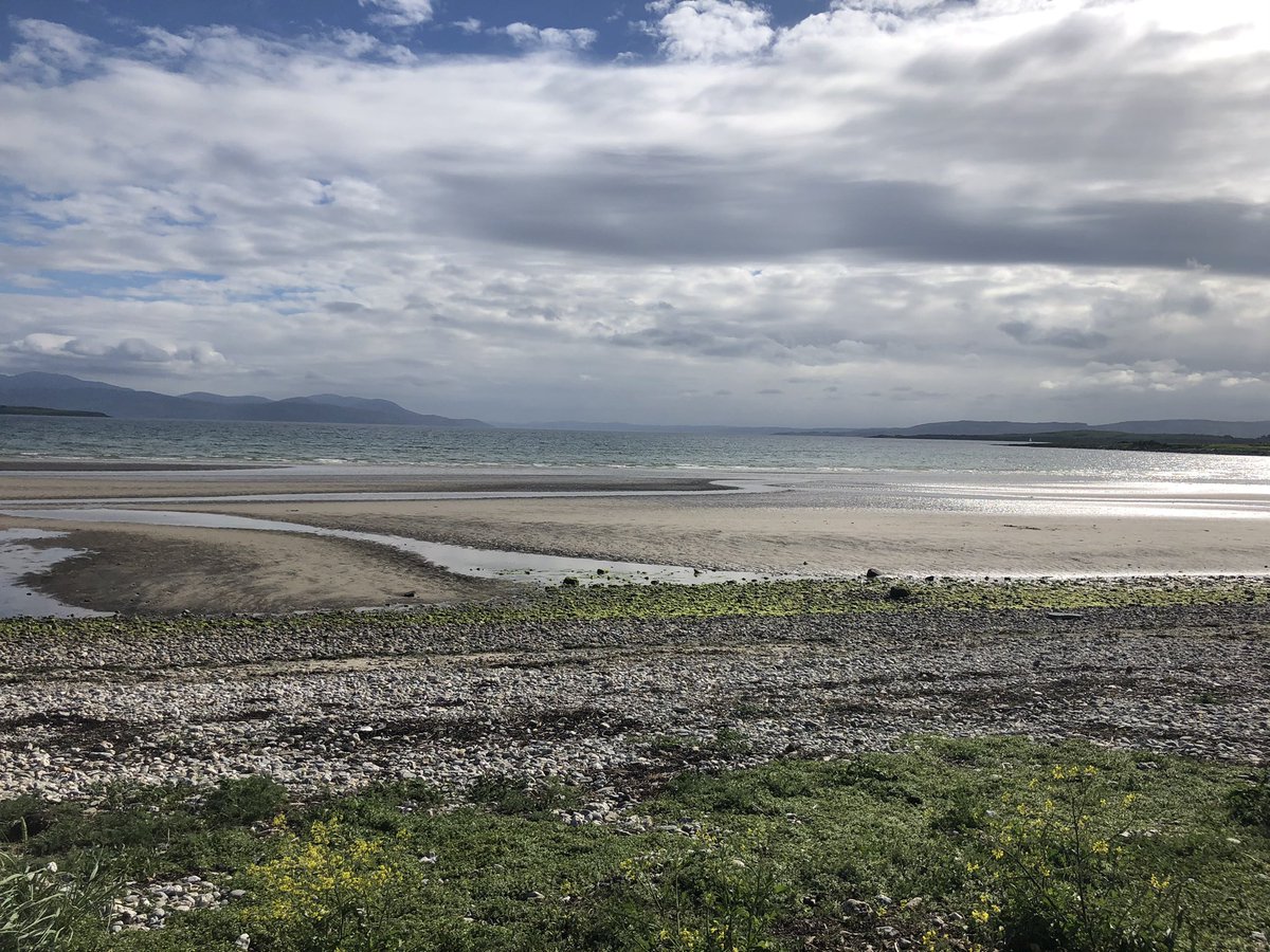 KatyJB-R tweet media